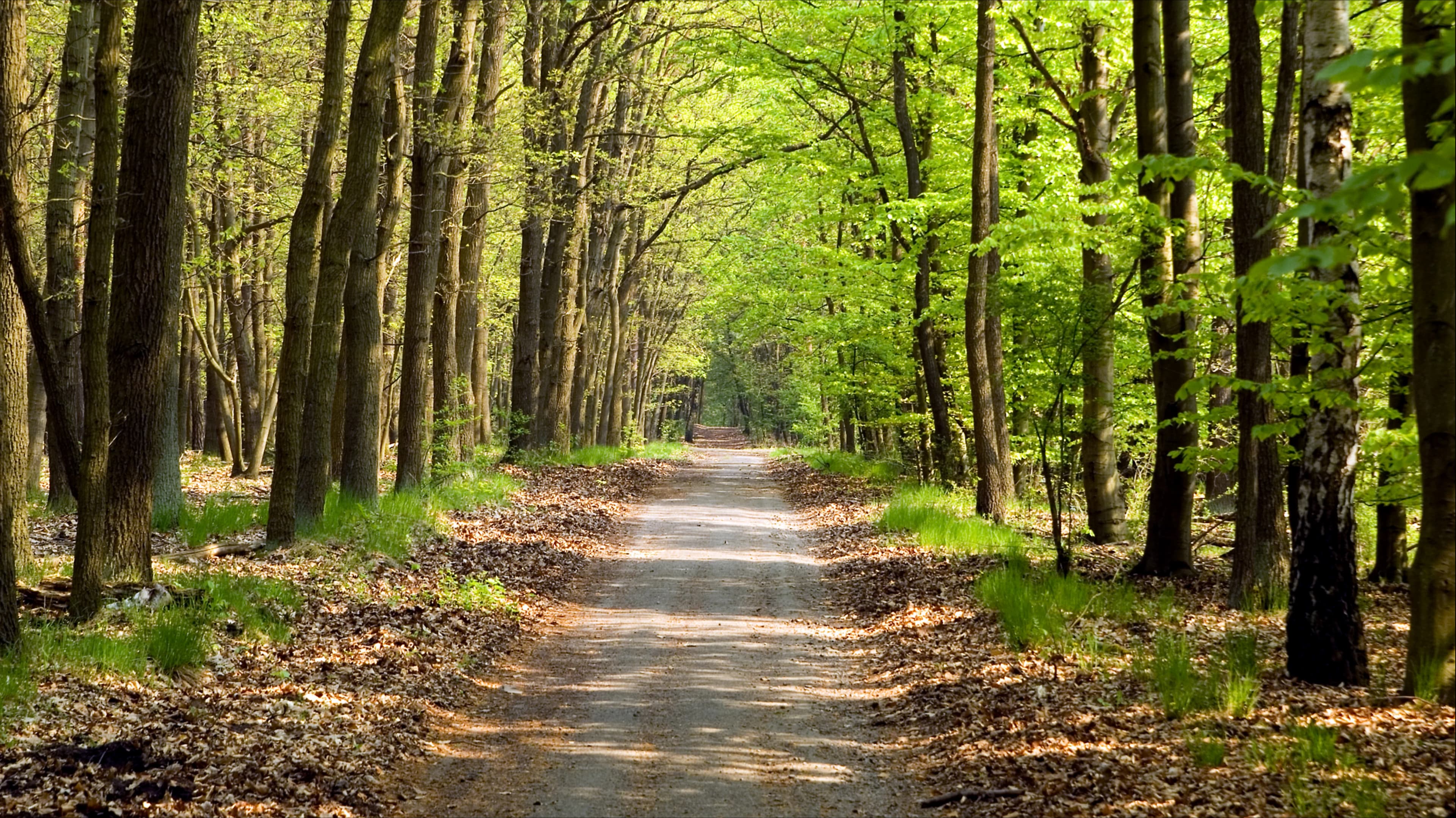 Greendale Trail Association